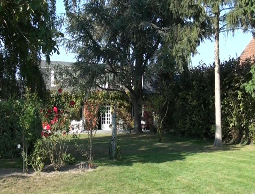 Le Petit Pont Hotel Moncé-en-Belin Exterior foto